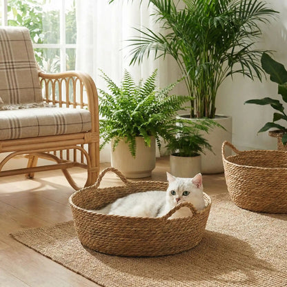panier chat en osier