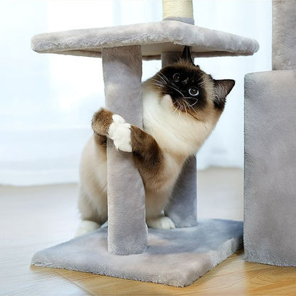 Petit arbre a chat​ gris.