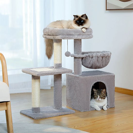 Petit arbre a chat​ gris