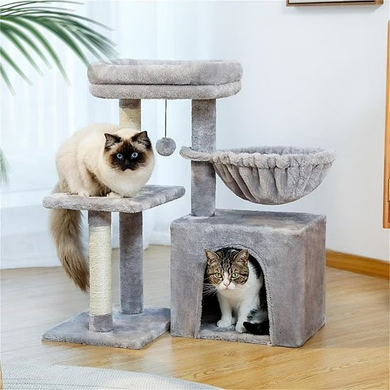 Petit arbre a chat​ grise