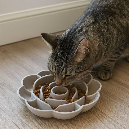 Gamelle Anti-Glouton pour Chat