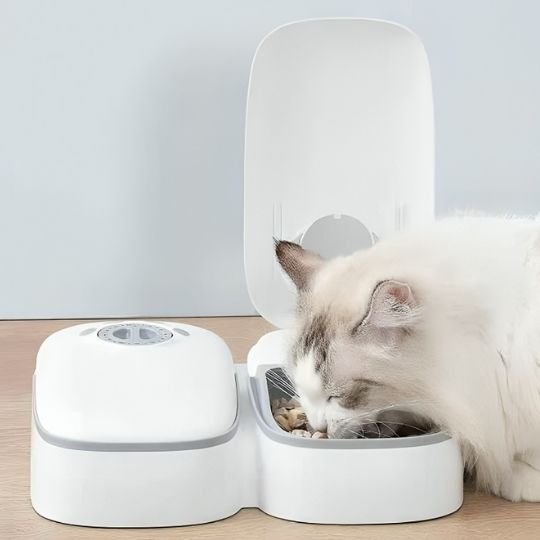 Distributeur automatique de croquettes pour chat | FelixFeed™ MITSOU SHOP