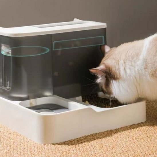 Distributeur Automatique de Croquettes pour Chat | FélinConfort MITSOU SHOP