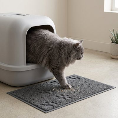 Tapis litière pour Chat