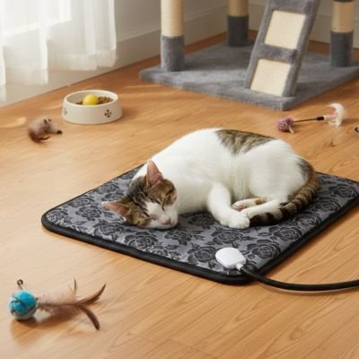 Tapis pour chat 