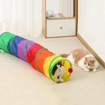 Tunnel pour chat