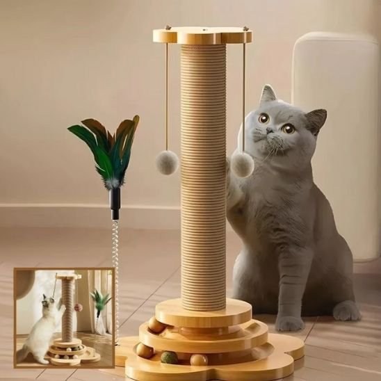 un chat griffe sur le Poteau Griffoire Chat
