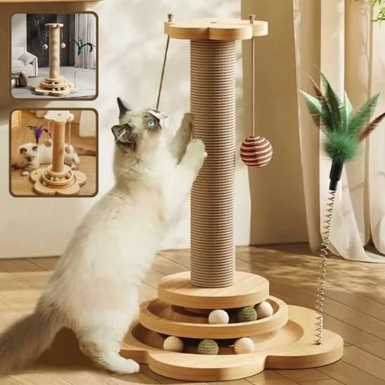 un chat griffe sur le Poteau Griffoire Chat