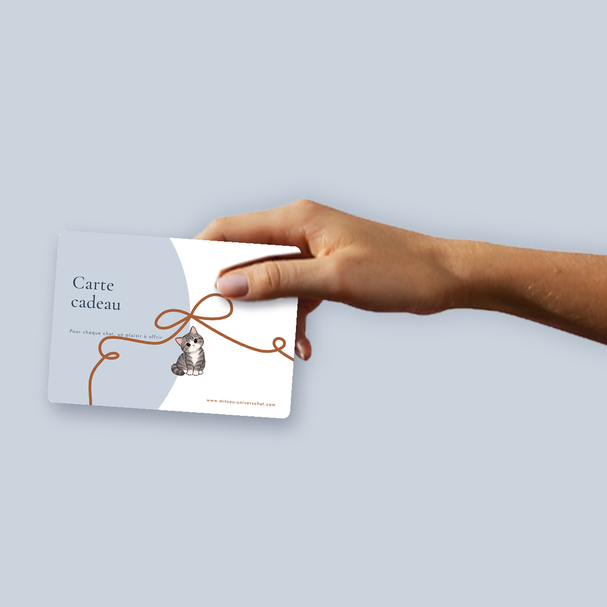carte cadeau chat